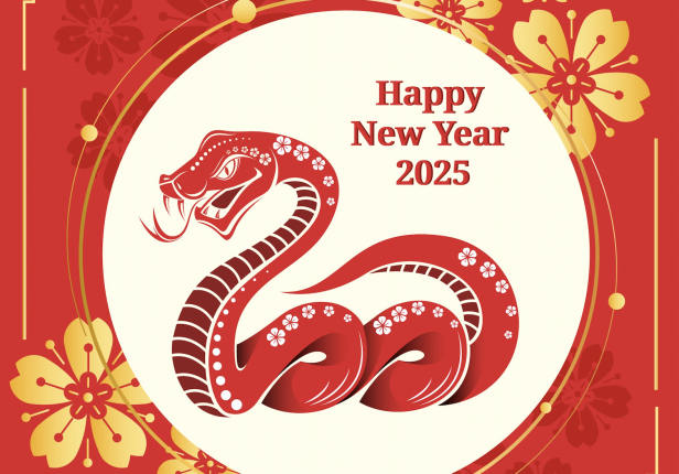 Wishing You a Joyful and Prosperous Chinese New Year 2025!